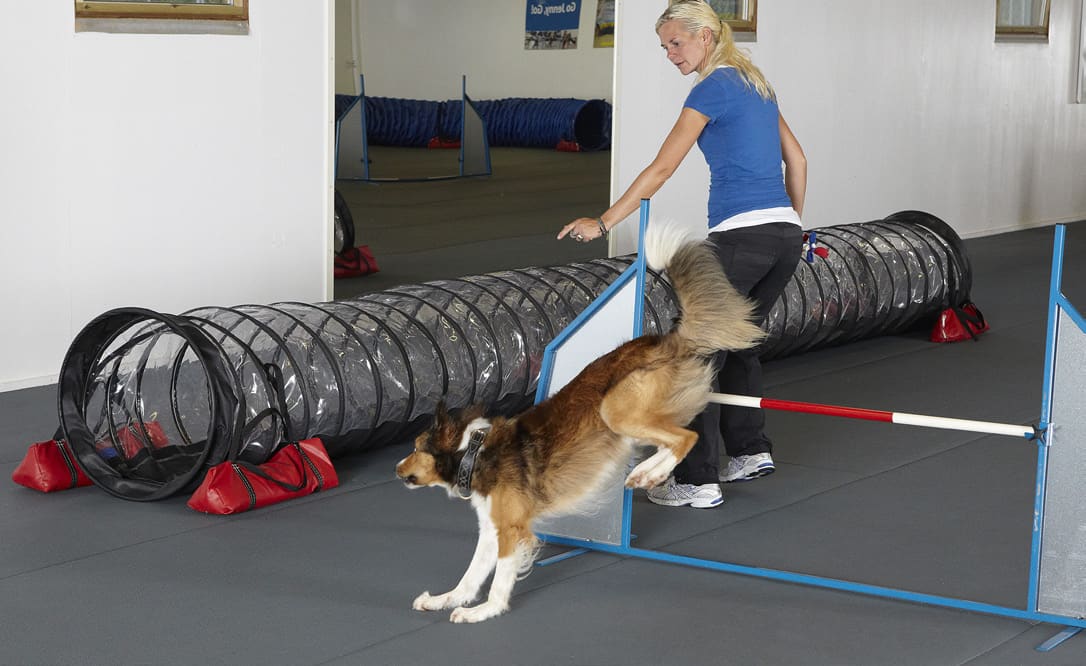 Referenser och media - Matting Agility