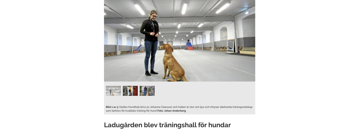 Ladugården blev träningshall för hundar